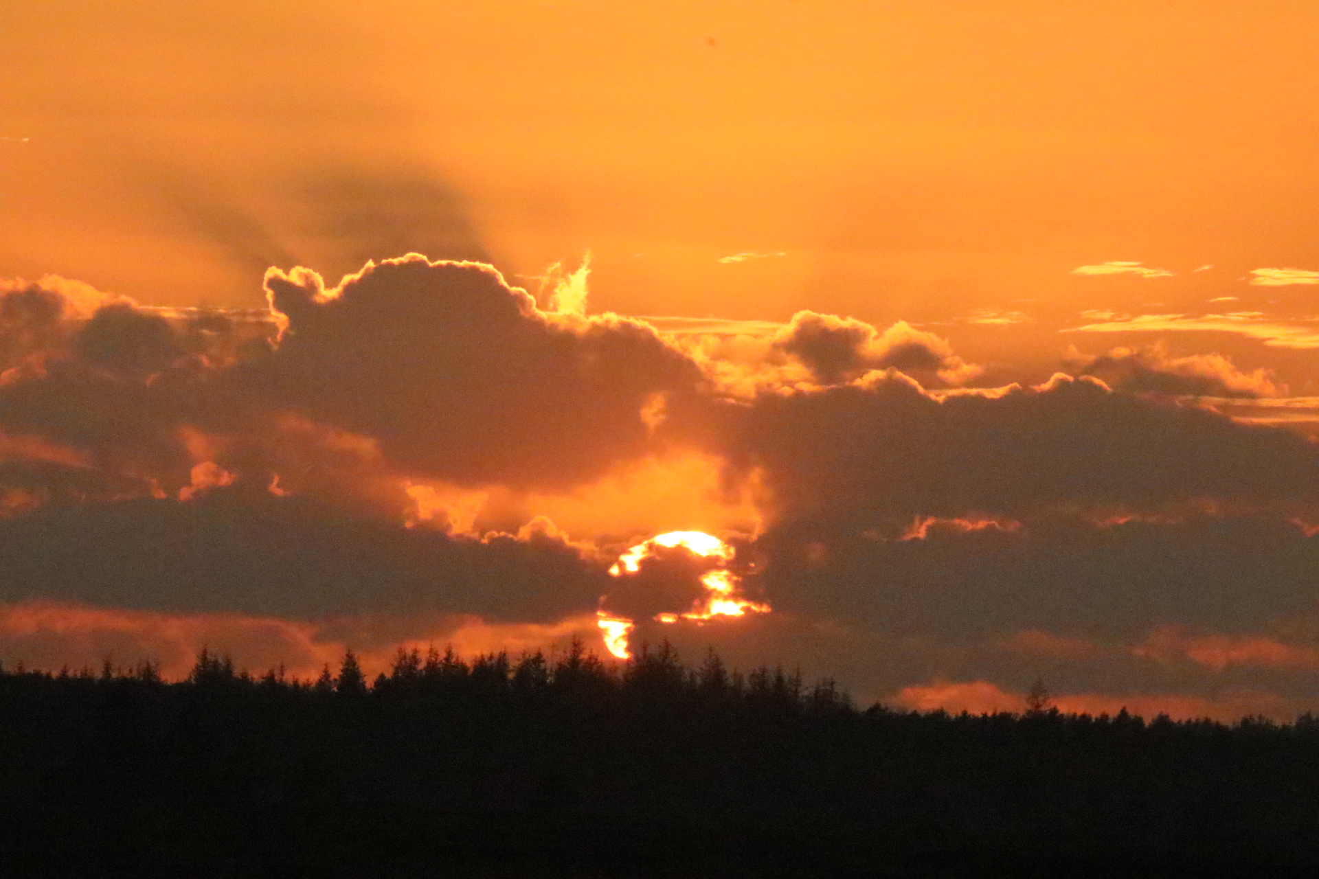 Solnedgang